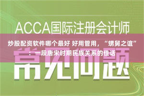 炒股配资软件哪个最好 好用管用，“甥舅之谊”：一段唐宋时期民族关系的佳话